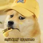 FB_IMG_1681031167125.jpg