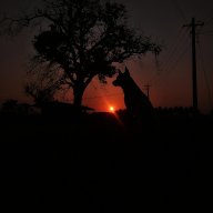Sakthi nila