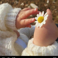 zaarah