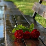 Priyadarshini S