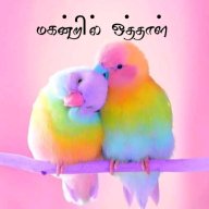 TNWContestWriter094